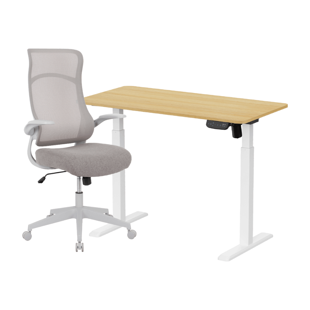 เซ็ตโต๊ะปรับระดับไฟฟ้า+เก้าอี้ทำงานเพื่อสุขภาพ LUNIO ERGO SPACE II (SIZE 120 X 60 CM) + ADAM DOT.2 ERGO CHAIR GRAVITY (สีเทา)